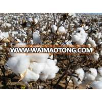 cotton raw wholesale